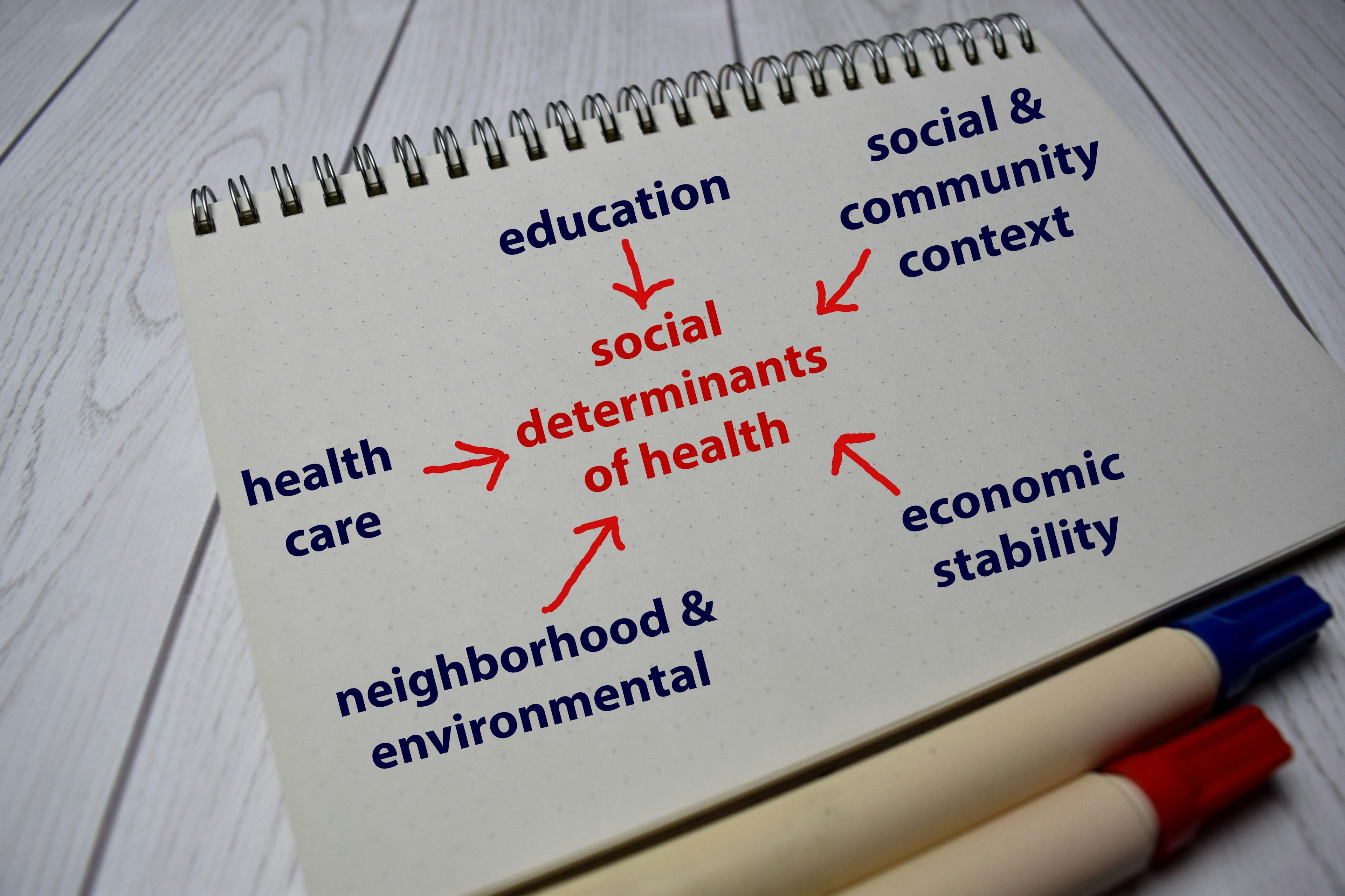 Social Determinants of Health Model | image credit: syahrir - stock.adobe.com