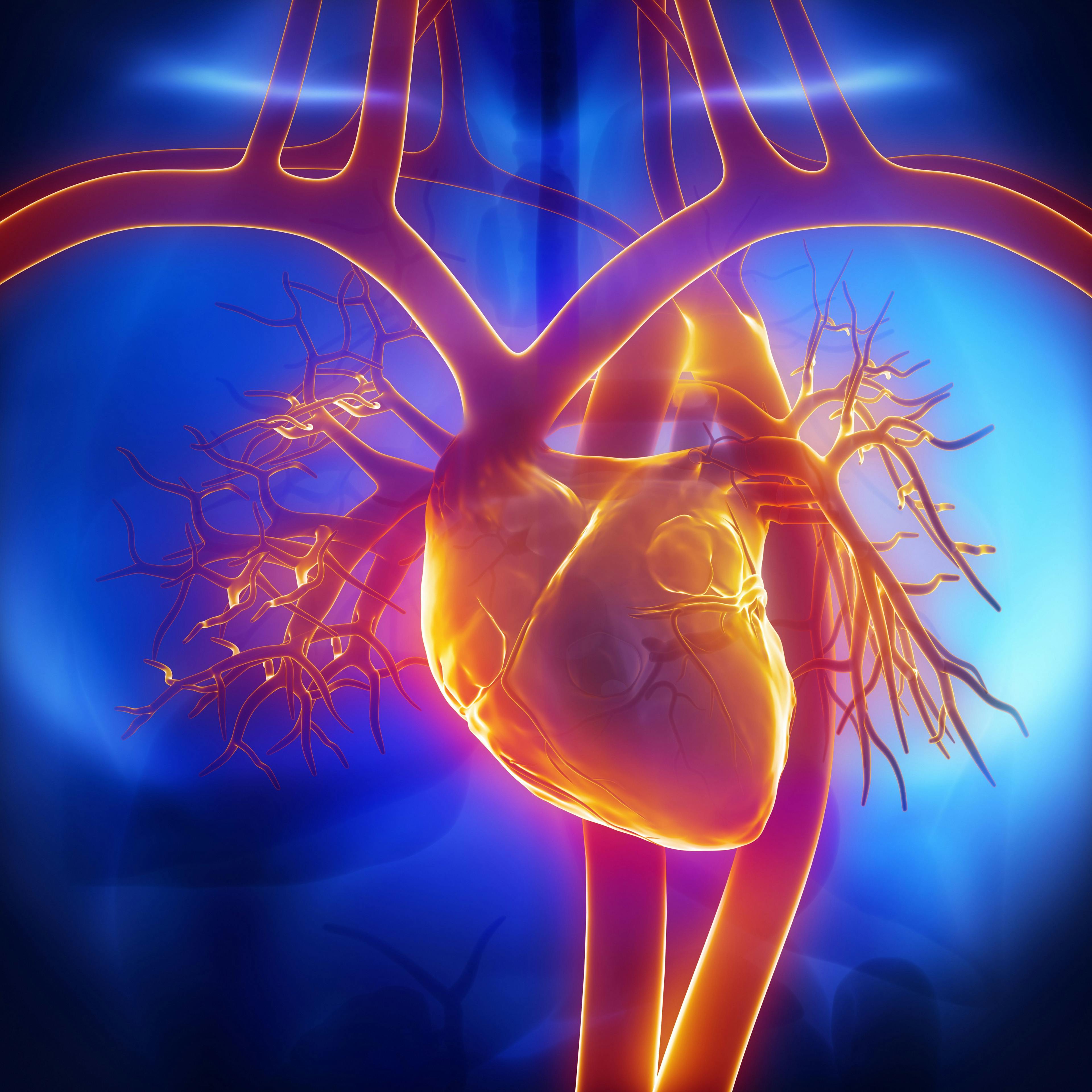 Heart, veins, and arteries | Image credit: CLIPAREA.com - stock.adobe.com