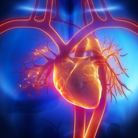 Research Provides Insight Into Cardiac-Related Mortality in Huntington Disease