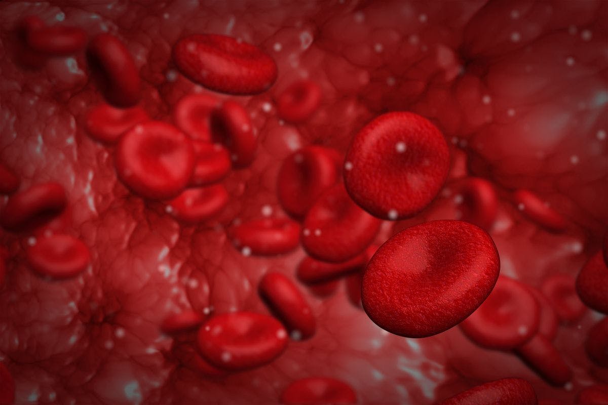 Platelets in blood