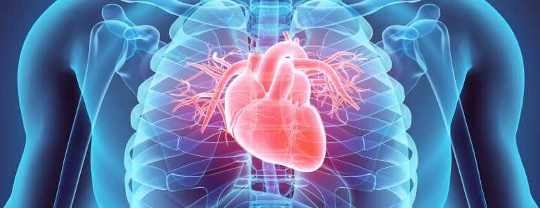 New Data Presented for Finerenone, Vericiguat, and SGLT2 Inhibitors at HF Session