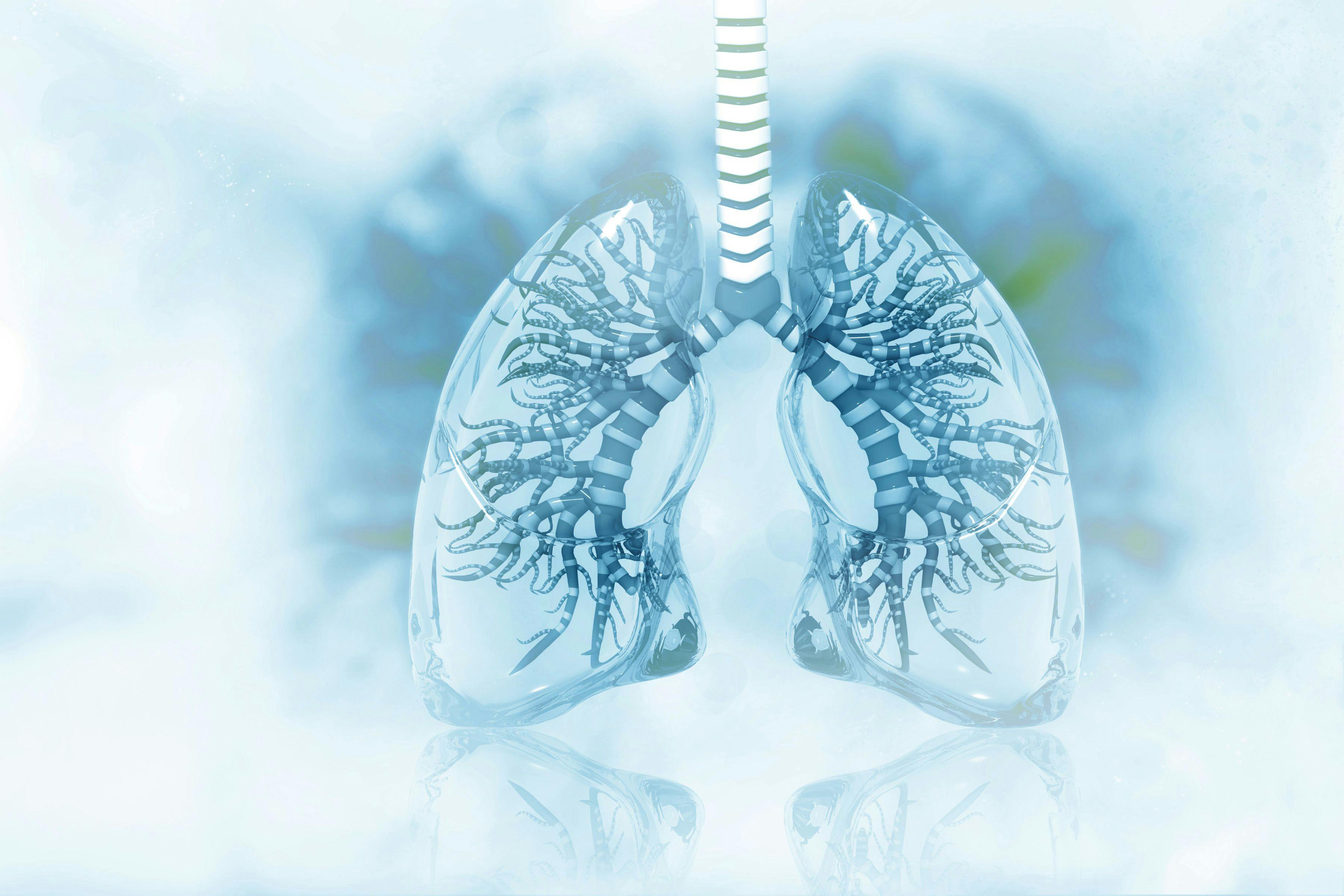 Human lungs on scientific background | Image Credit: Crystal light - stock.adobe.com