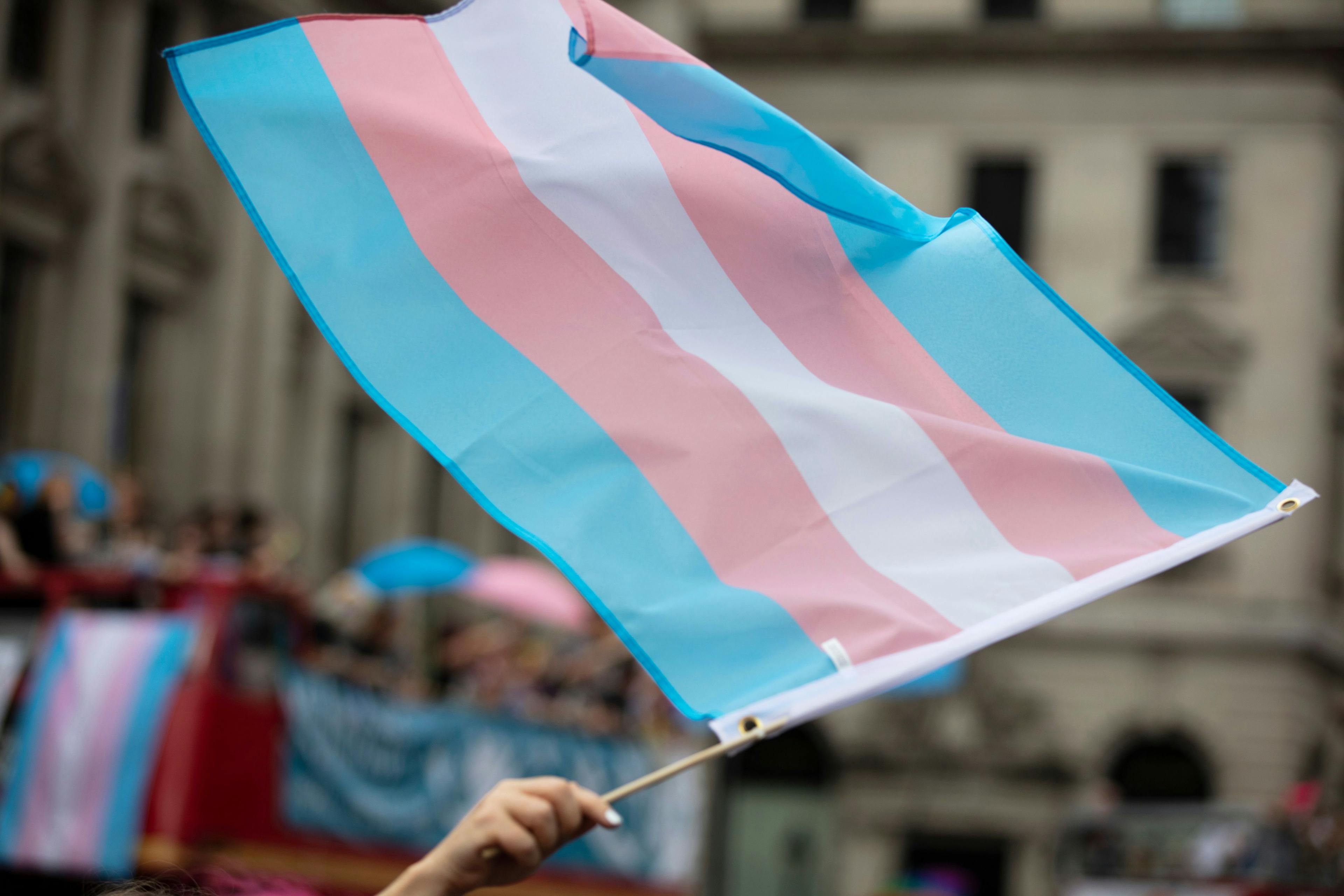 Transgender Pride Flag | image credit: ink drop - stock.adobe.com