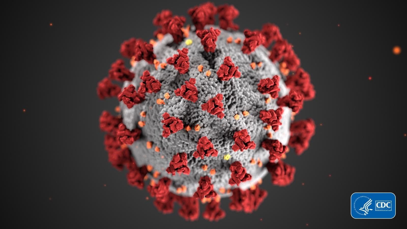 Investigators Rush to Find Treatments for Novel Coronavirus