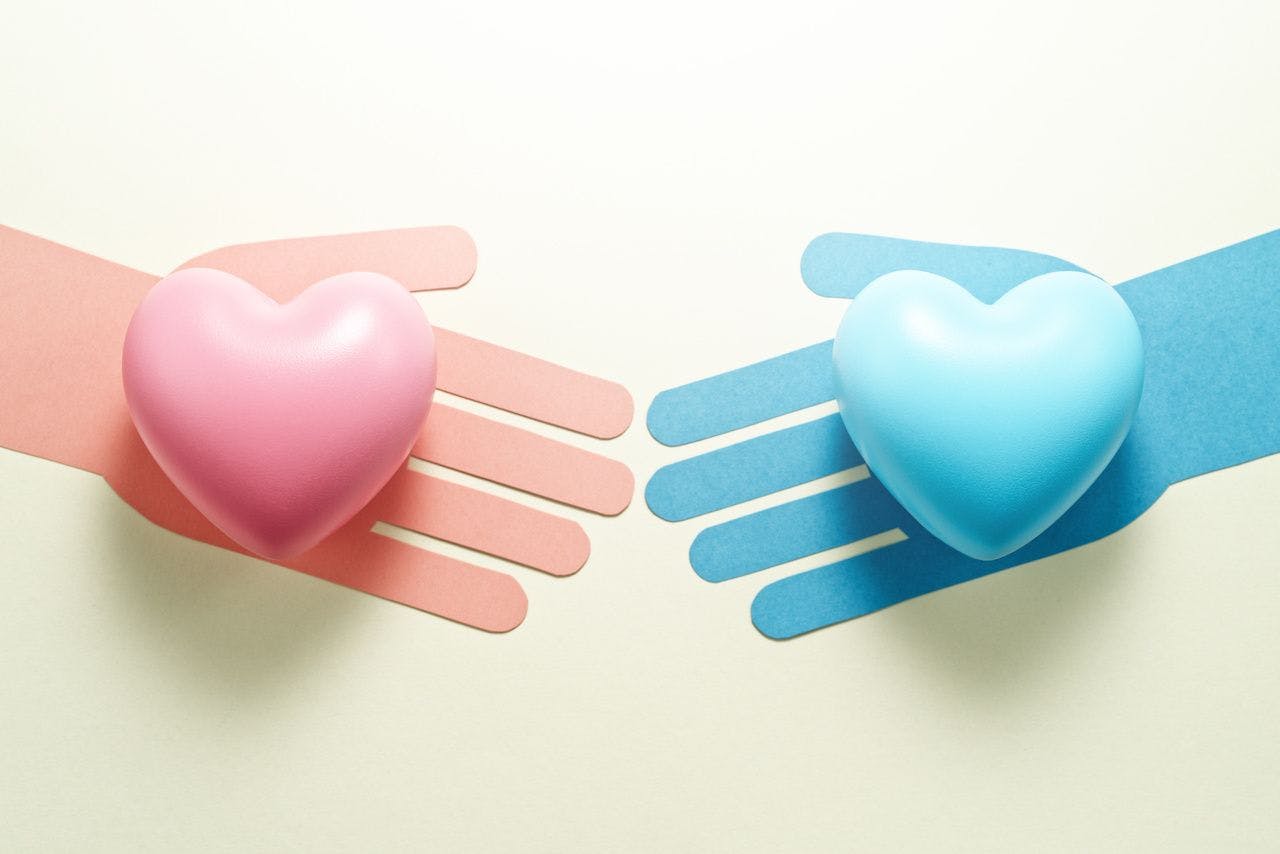 Concept image of gender equality. Pink hand holding pink heart and blue hand holding blue heart: © tadamichi - stock.adobe.com