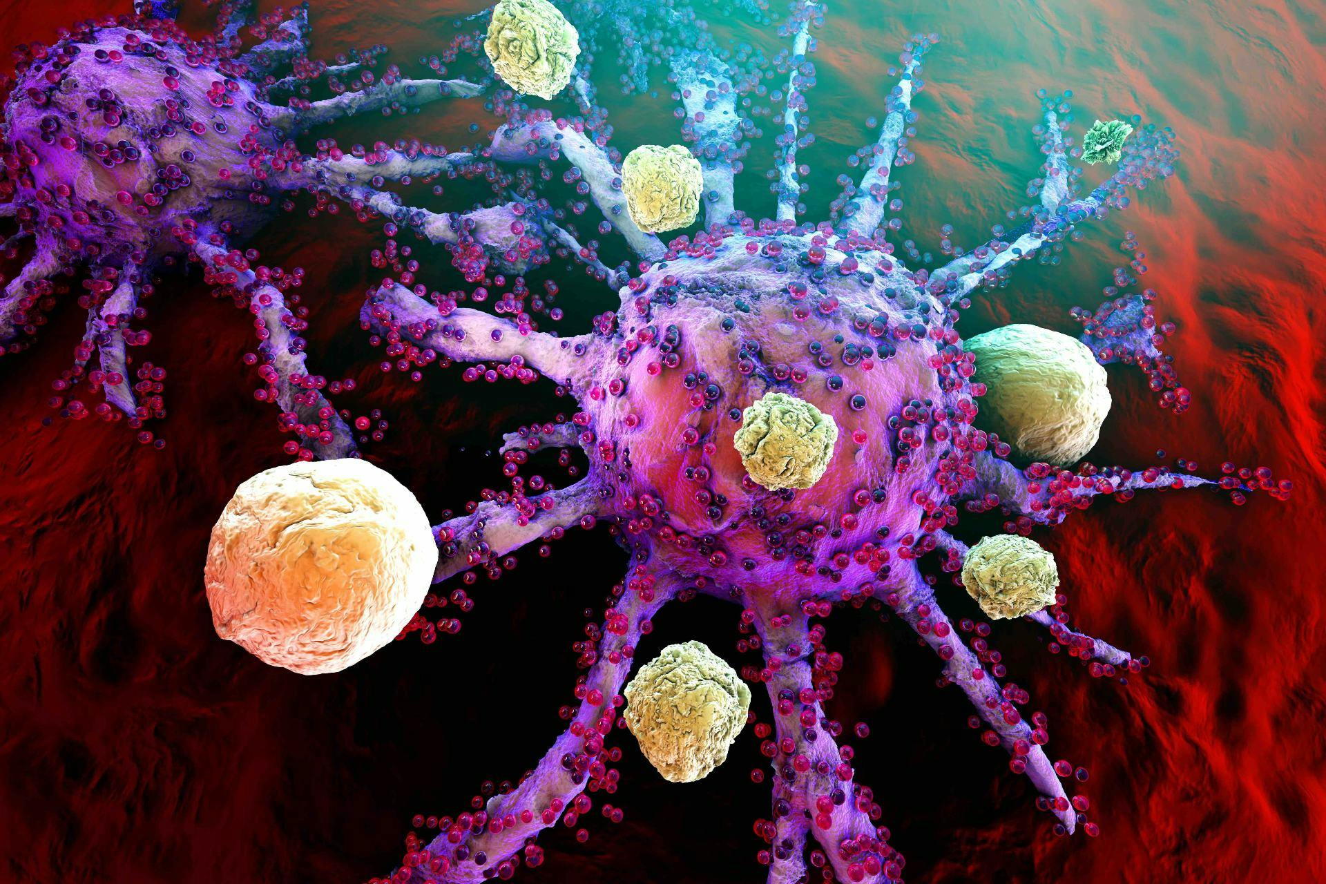 Immune cells attacking cancer | Image credit: Spectral-Design - stock.adobe.com