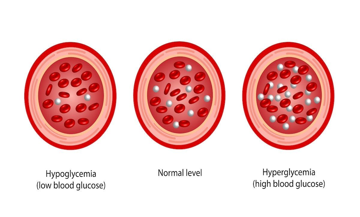 Blood glucose levels | Image Credit: PH-HY - stock.adobe.com