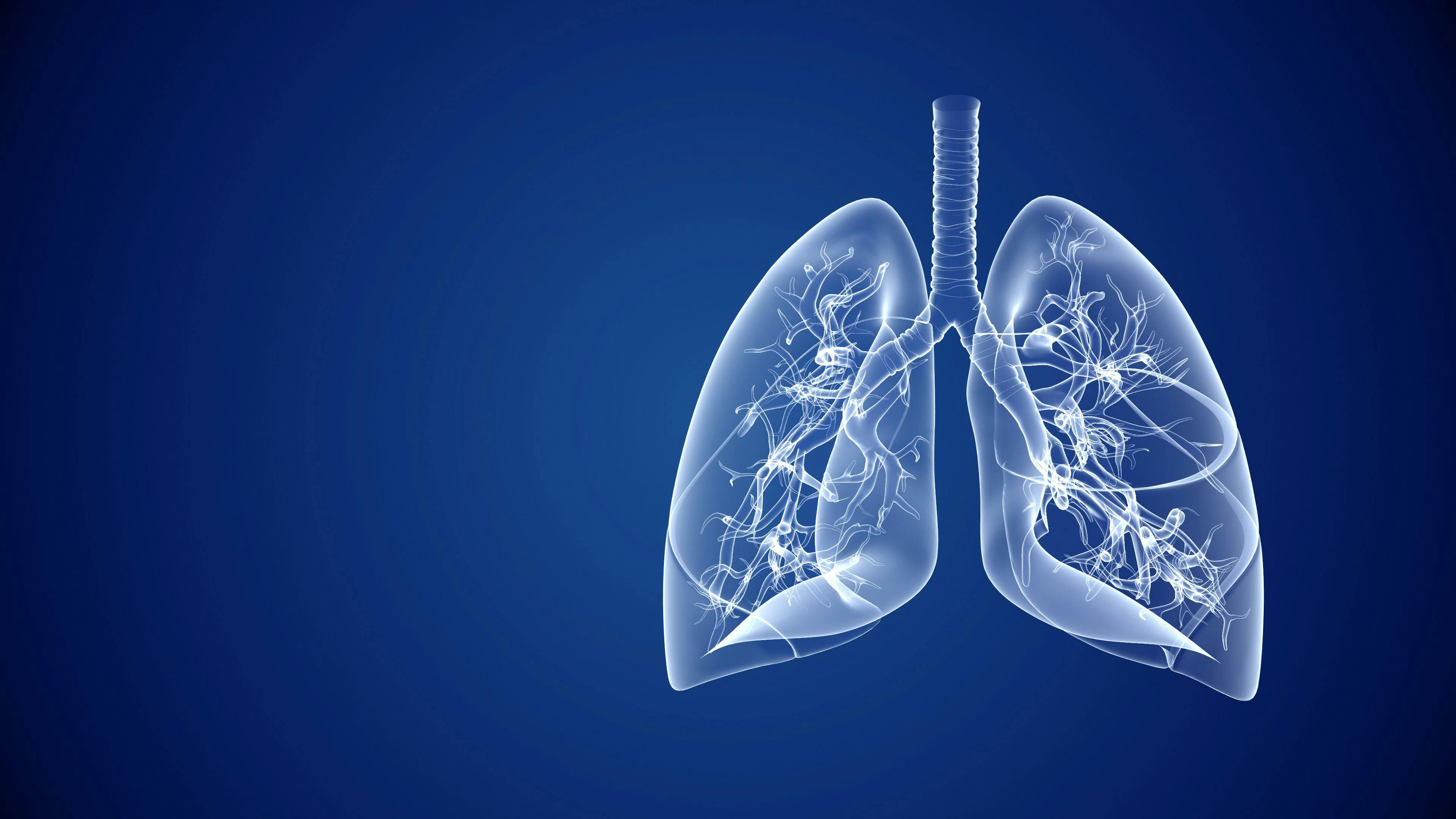 Lung Model | image credit: Silver Place - stock.adobe.com