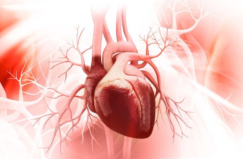 icon of heart muscle 