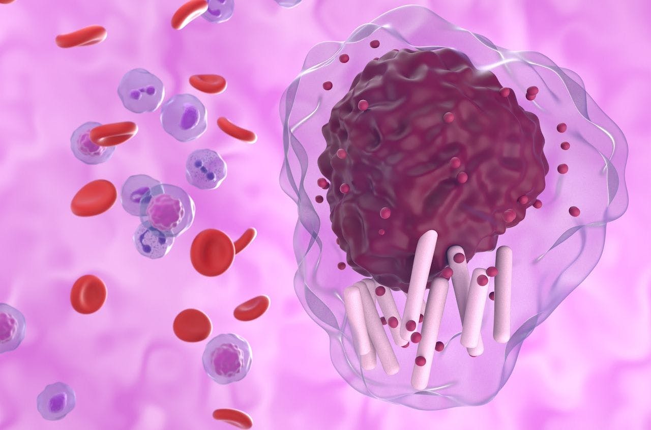 CLL cells in blood flow | Image credit: Laszlo - stock.adobe.com