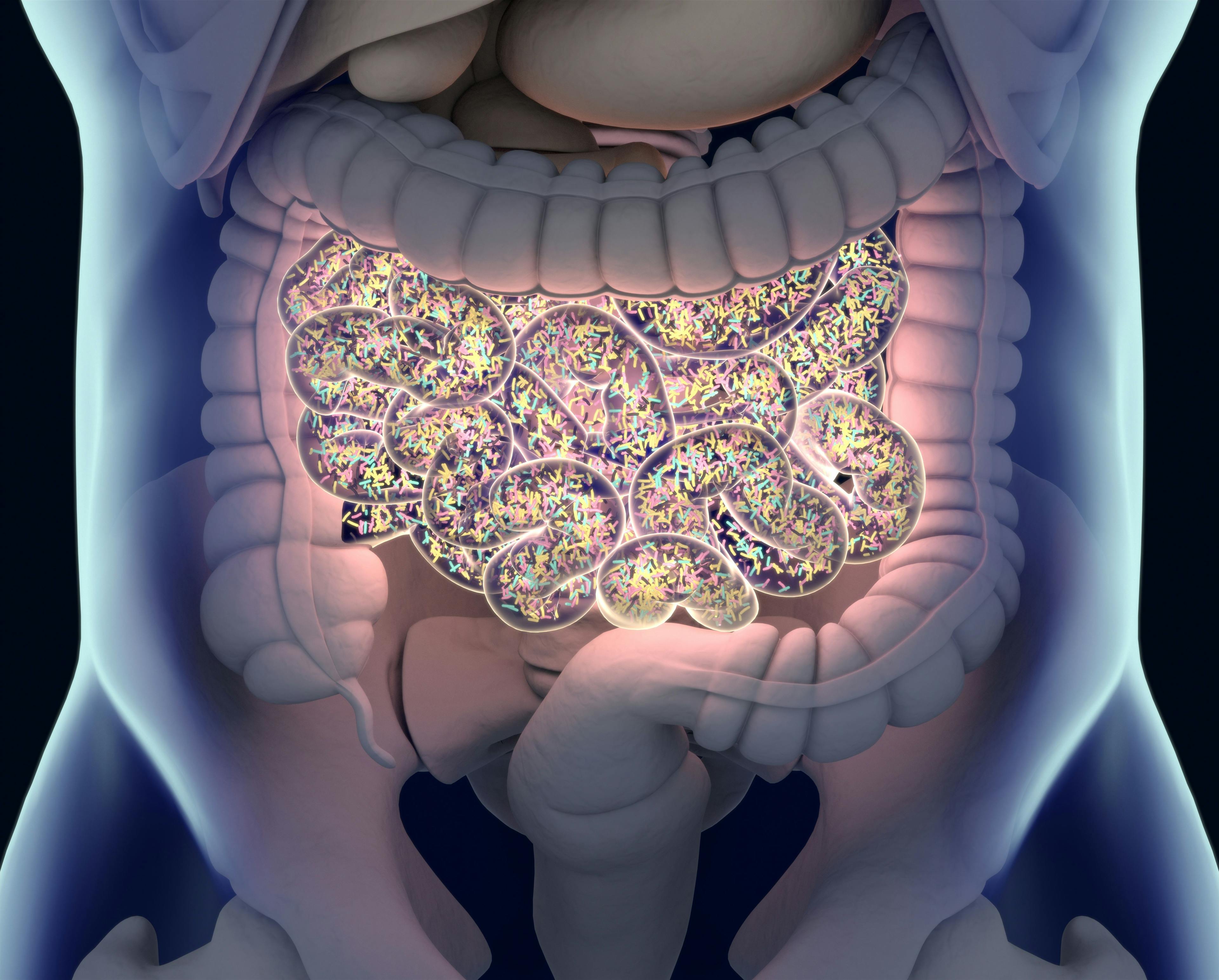 a graphic of the human colon and digestive system