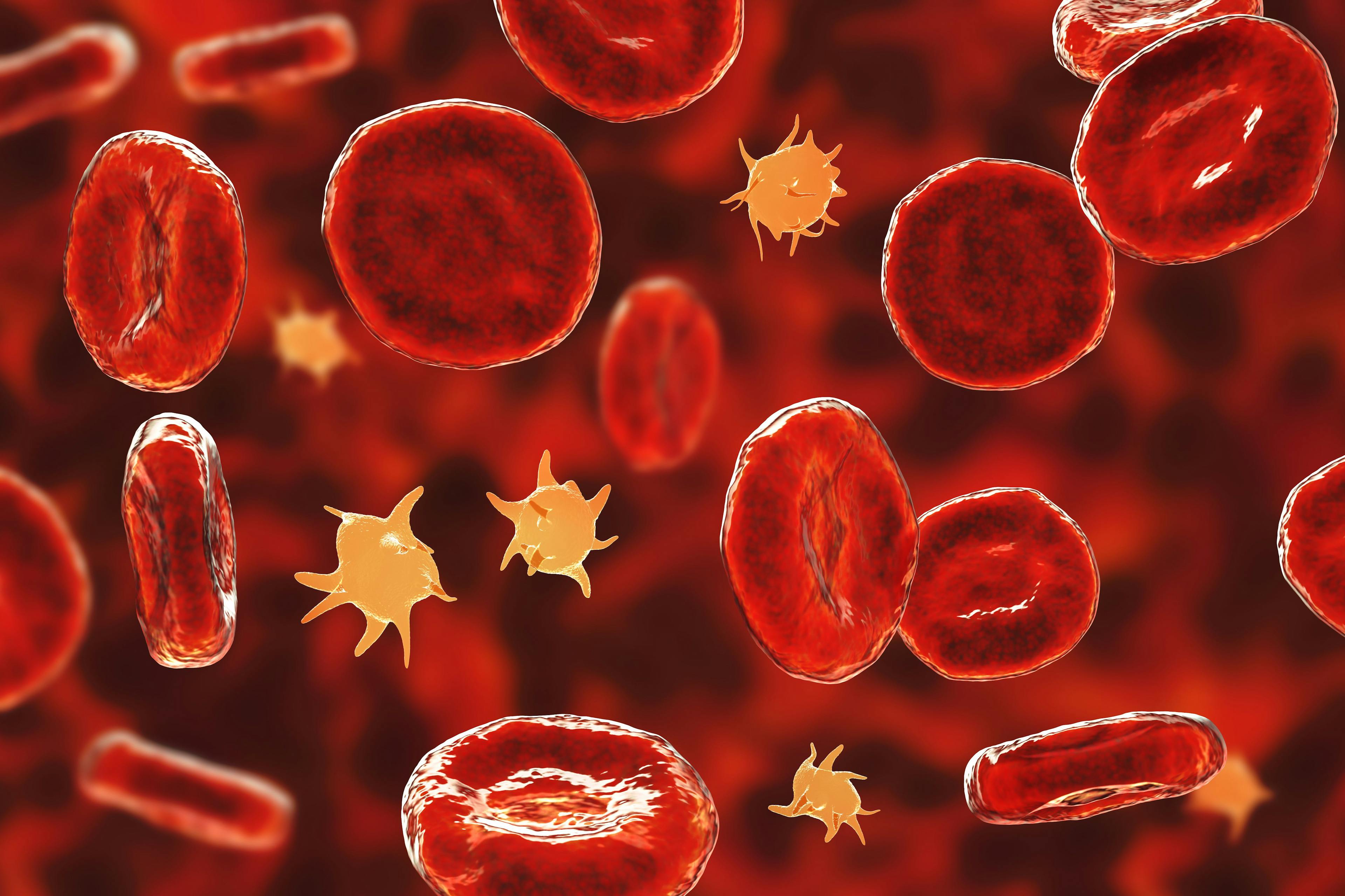 Blood Platelet Concept | image credit: Dr_Microbe - stock.adobe.com