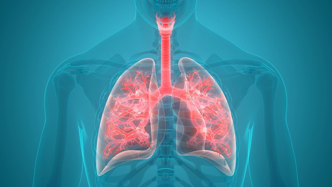 Researchers Use Genetic Risk Score, CT of Lungs to Personalize Risk of COPD 
