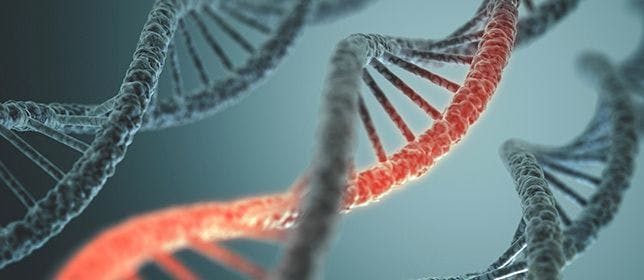 Researchers Identify and Silence Long Noncoding RNA Responsible for HIV Replication