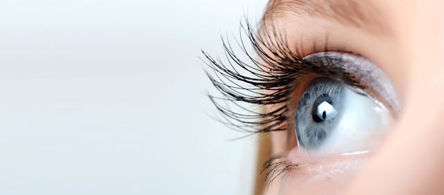 Blue eye | Image credit: Vladimir Voronin - stock.adobe.com