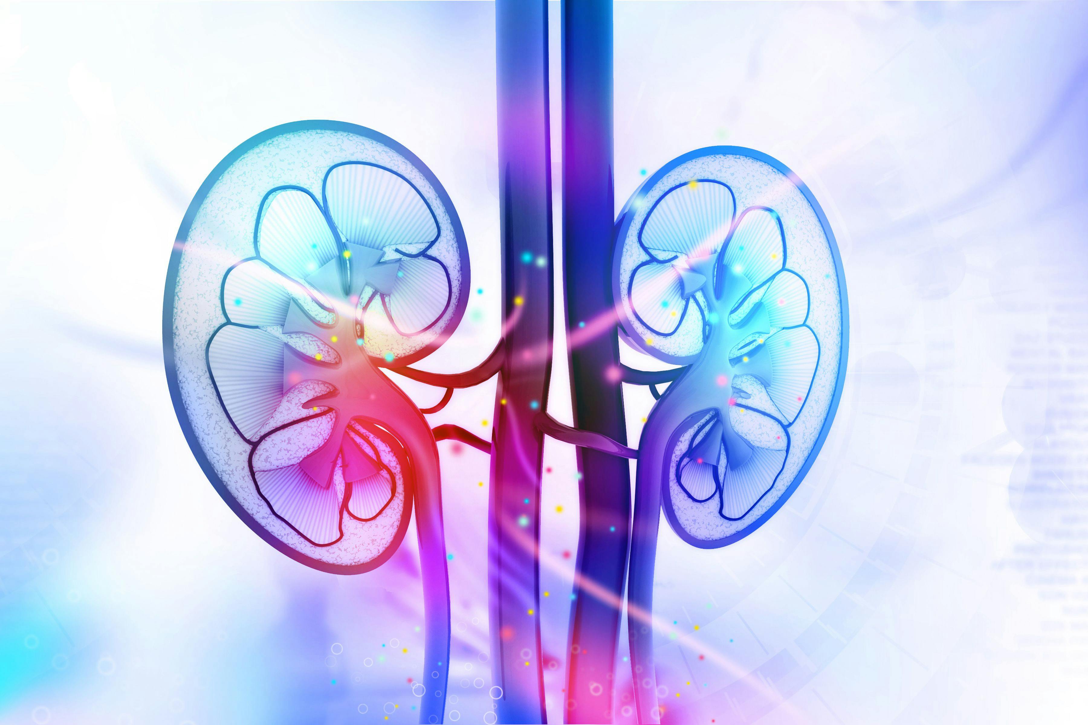 Study Examines Clinical Implications of Removing Race From eGFR in CKD