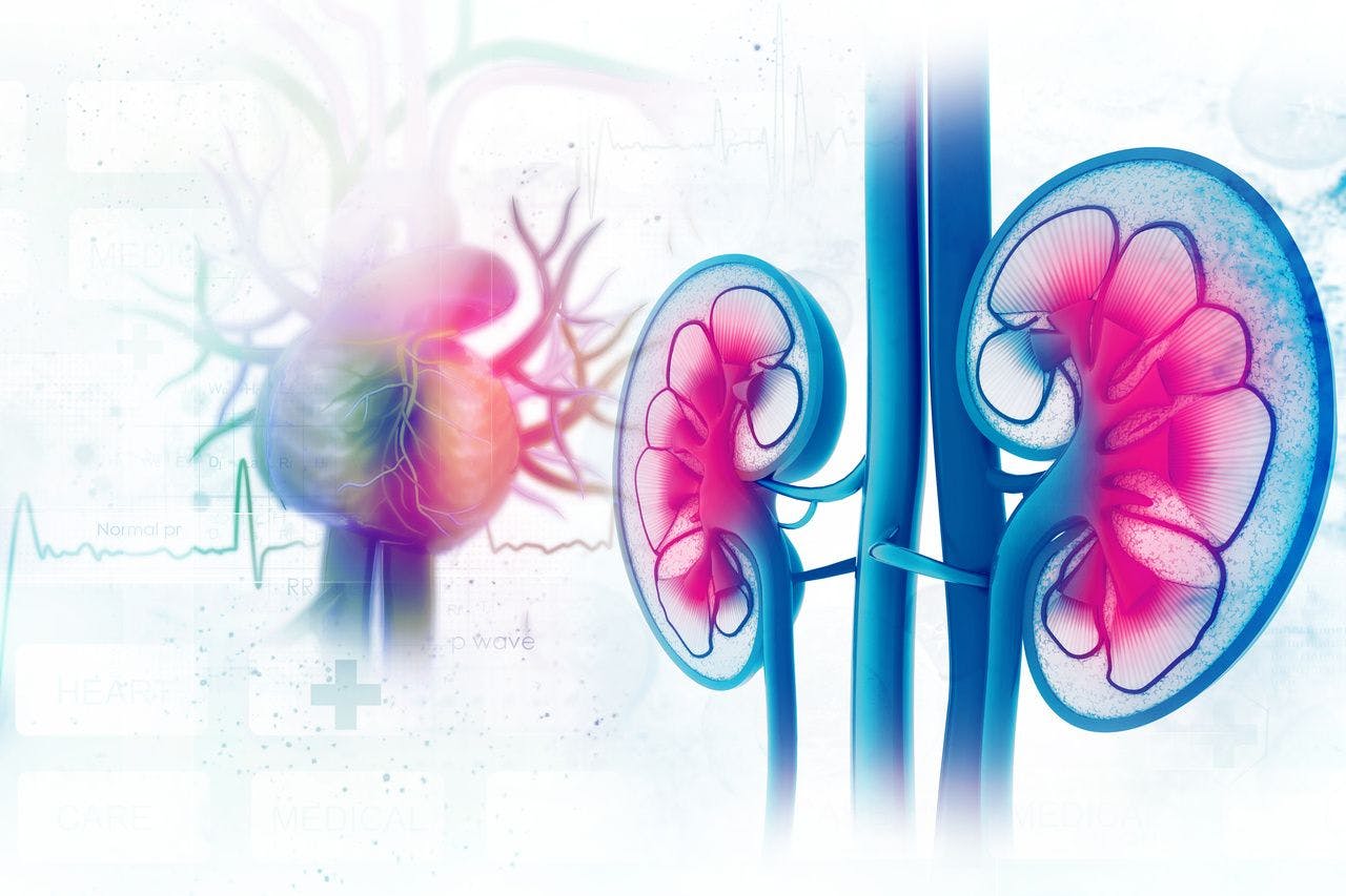 Observational Study Results Suggest Most HIV–HIV Kidney Transplants Have Long-term Success