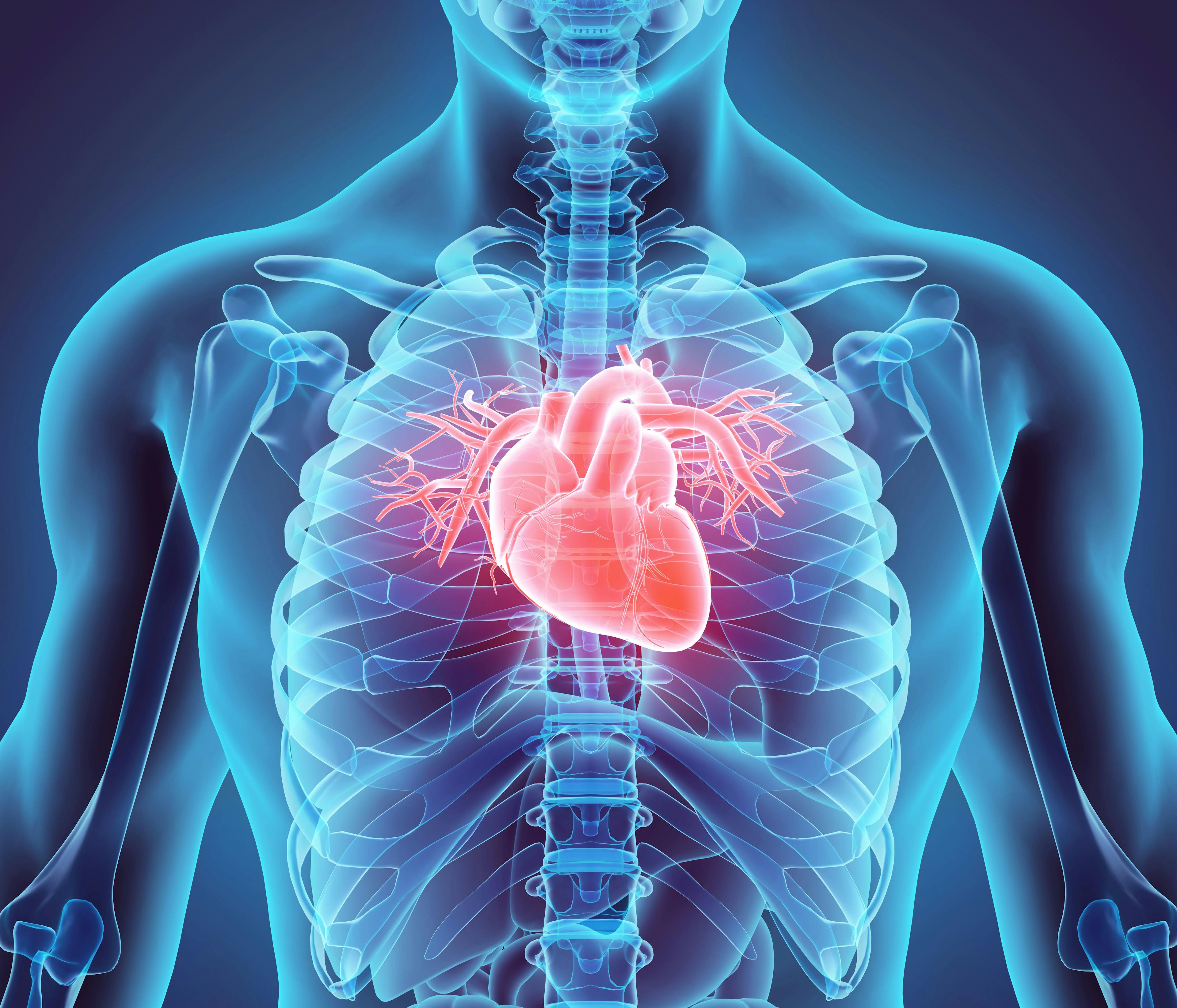 Heart animation | Image Credit: yodiyim - stock.adobe.com