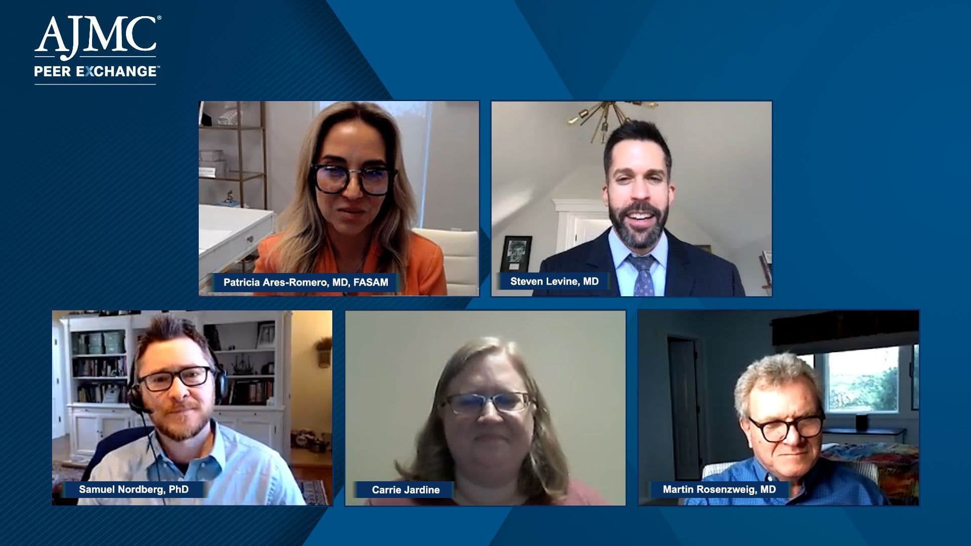 screenshot of panel for the Improving Access to Alternative Therapies for Treatment Resistant Depression discussion