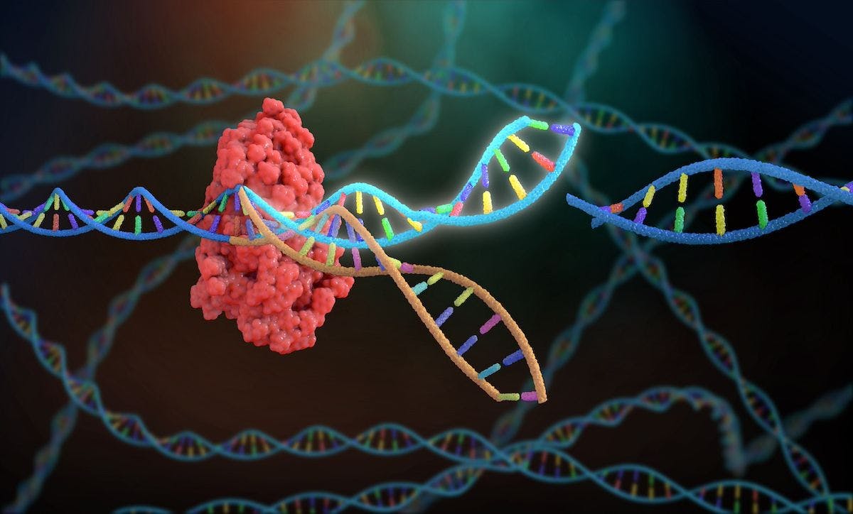 CRISPR DNA Editor | Image Credit: NathanDeverycom-stock.adobe.com