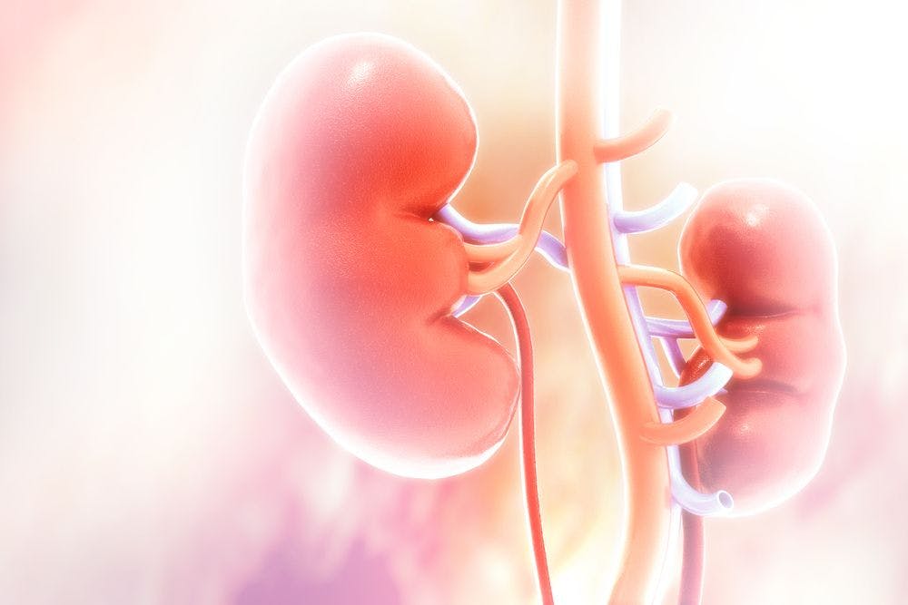 Even in Advanced CKD, Canaglifozin Slows Rate of Kidney Decline, Study Says