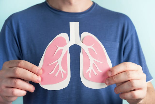 Man holding paper model of lungs |  Elena - stock.adobe.com