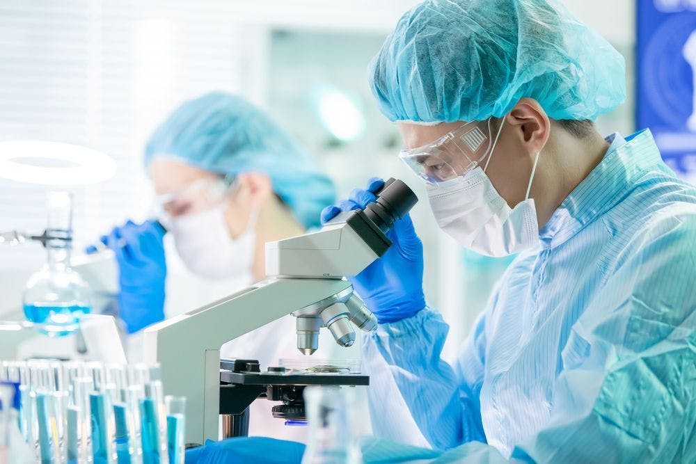 Image of researchers investigating for skin cancer