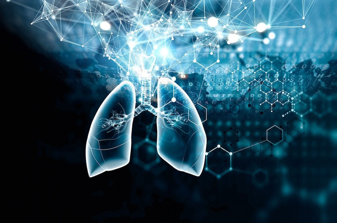 Lung cancer science and technology | Image credit: sergey nivens - stock.adobe.com