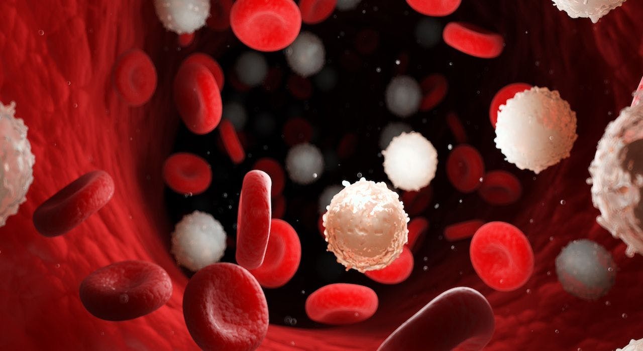 Too many white blood cells due to leukemia | Image credit: SciePro - stock.adobe.com