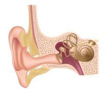 History of Migraine Linked to Development of Tinnitus, Other Cochlear Disorders
