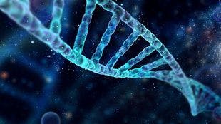 Identifying Epigenetic Changes May Assist in Earlier Diagnosis of PD, Study Finds