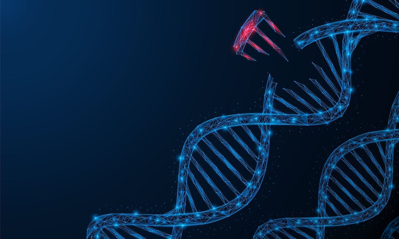 An enhanced image of a genetic mutation | Image credit: lya - stock.adobe.com