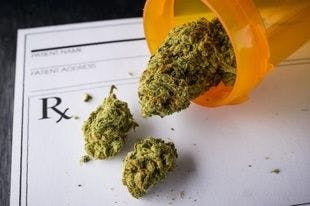 Chronic Pain the Top Reason US Patients Seek Medical Marijuana