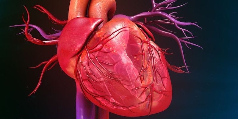 heart pumping stock photos: © Dreamstime