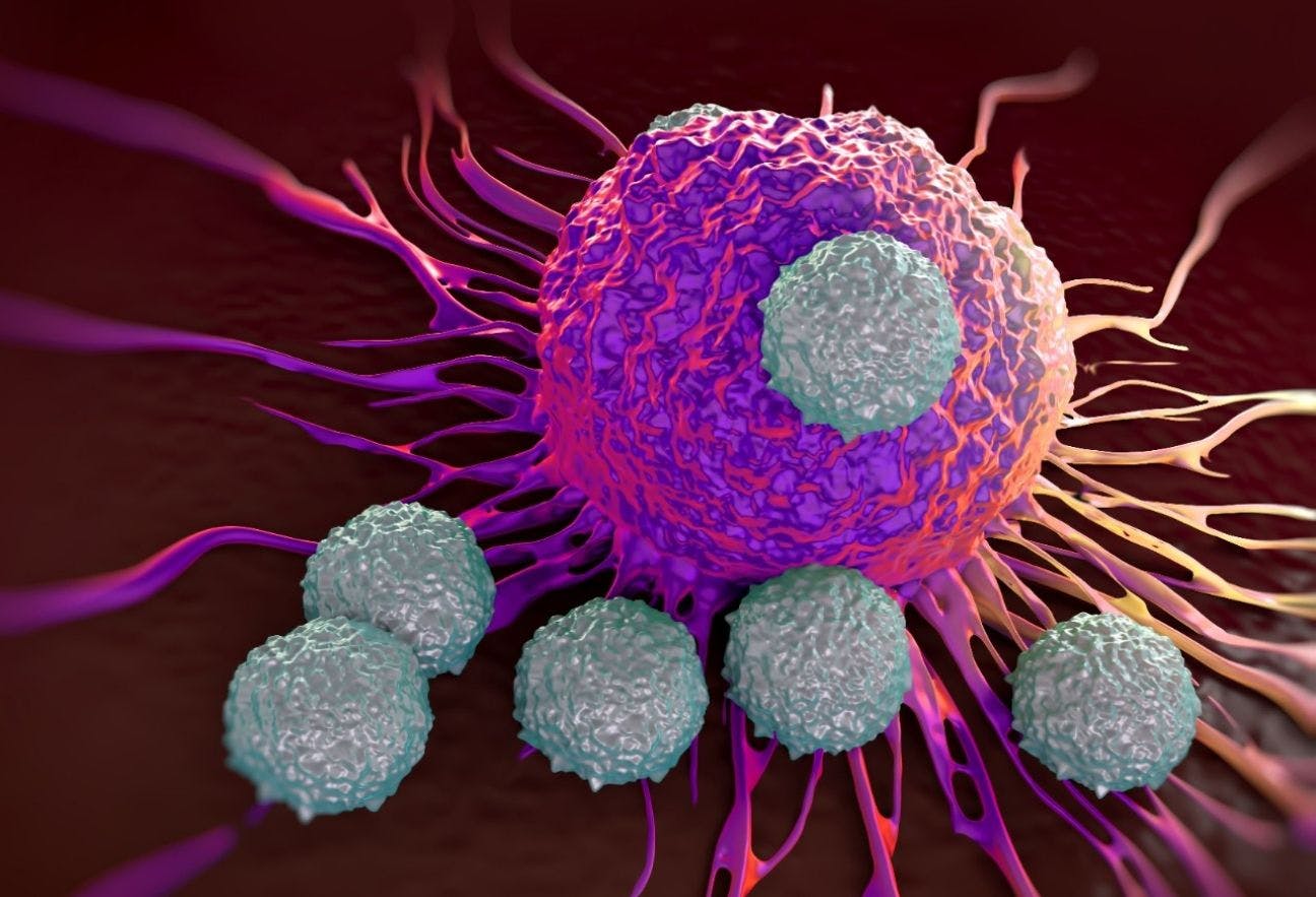 Image of immunotherapy