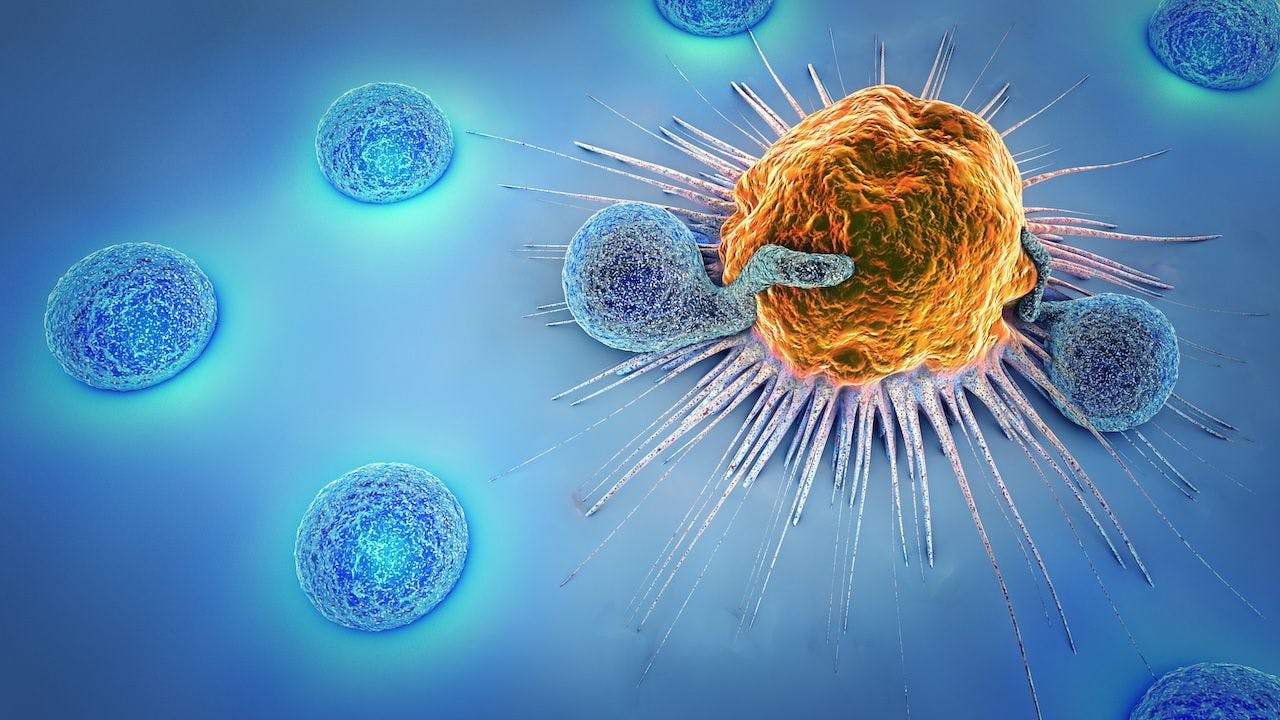 Cancer cell and lymphocytes | Image credit: Christoph Burgstedt-stock.adobe.com