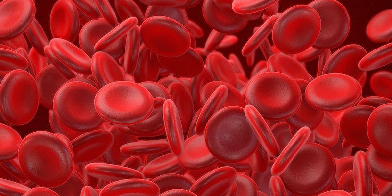 blood cells 