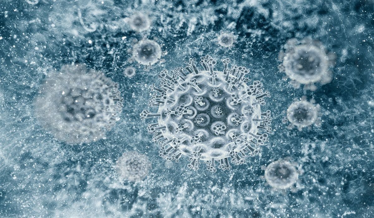 Picture of hepatitis virus