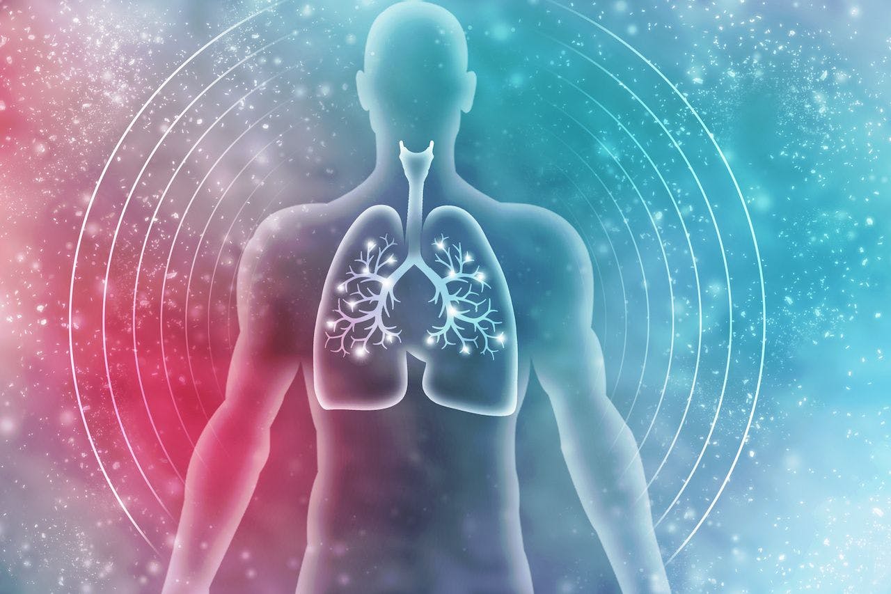 Healthy Human Lungs 2d illustration: © jijomathai - stock.adobe.com