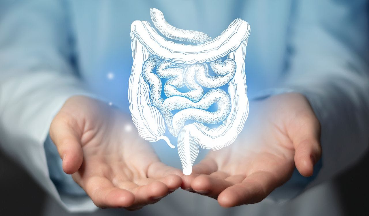 rendering of the colon above doctor's hands