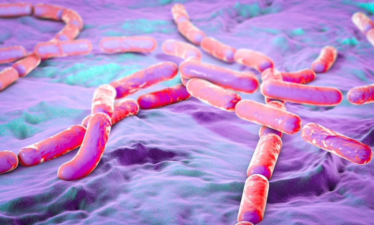 Magnified image of Bacillus cereus | Image Credit: DrMicrobe - stock.adobe.com