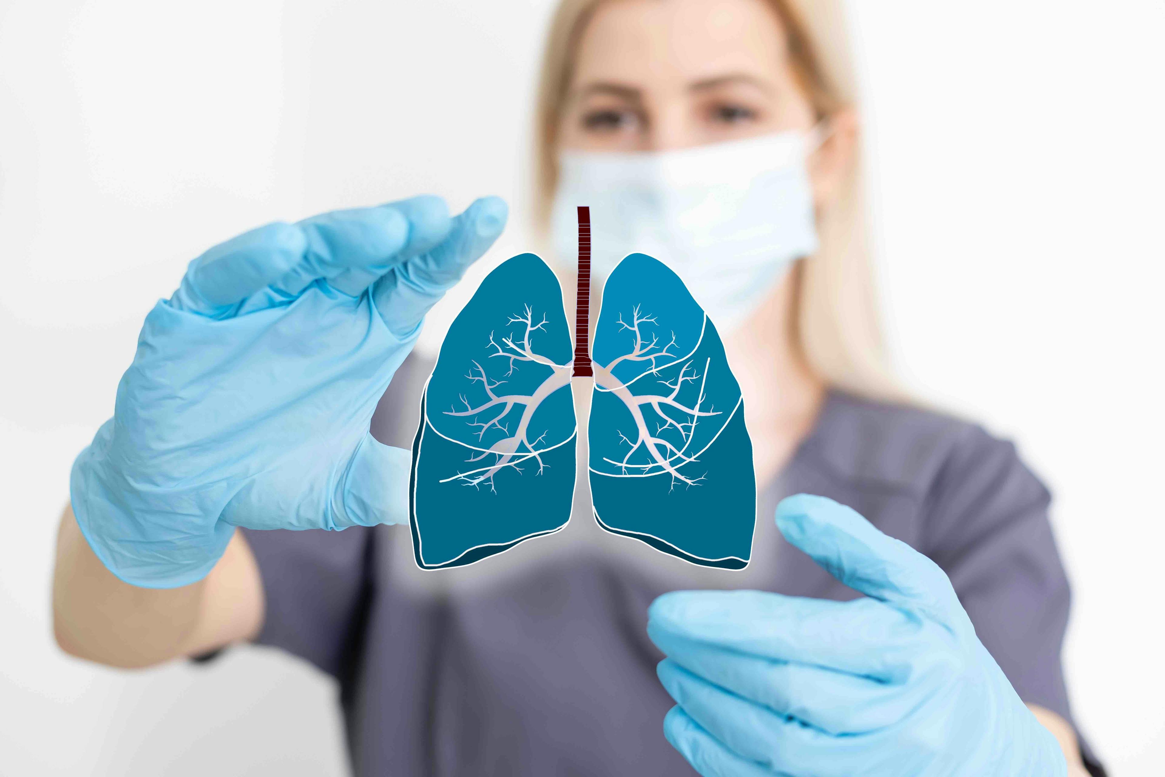 Lungs illustration - Angelov - stock.adobe.com