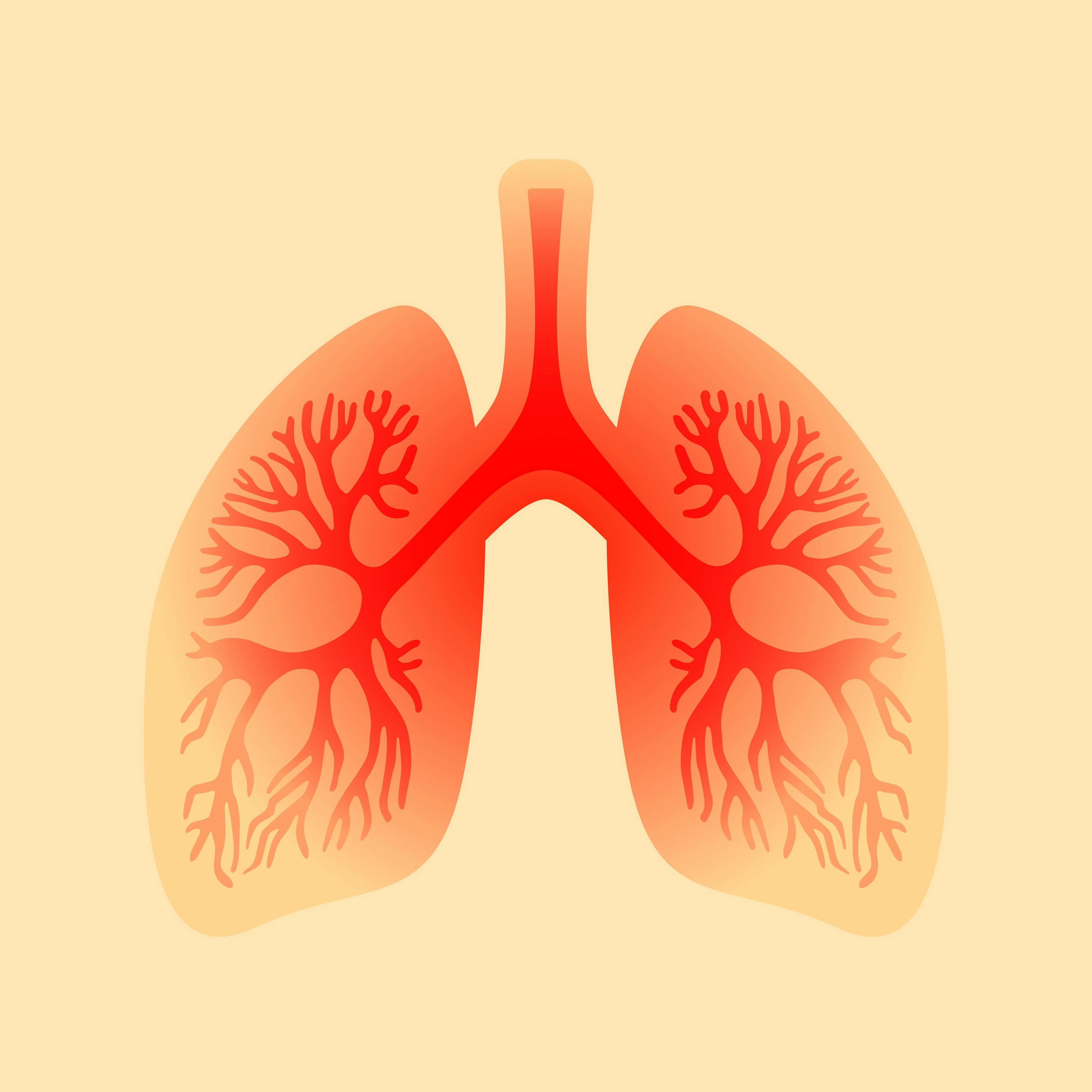 Lung Model | image credit: arcady - stock.adobe.com