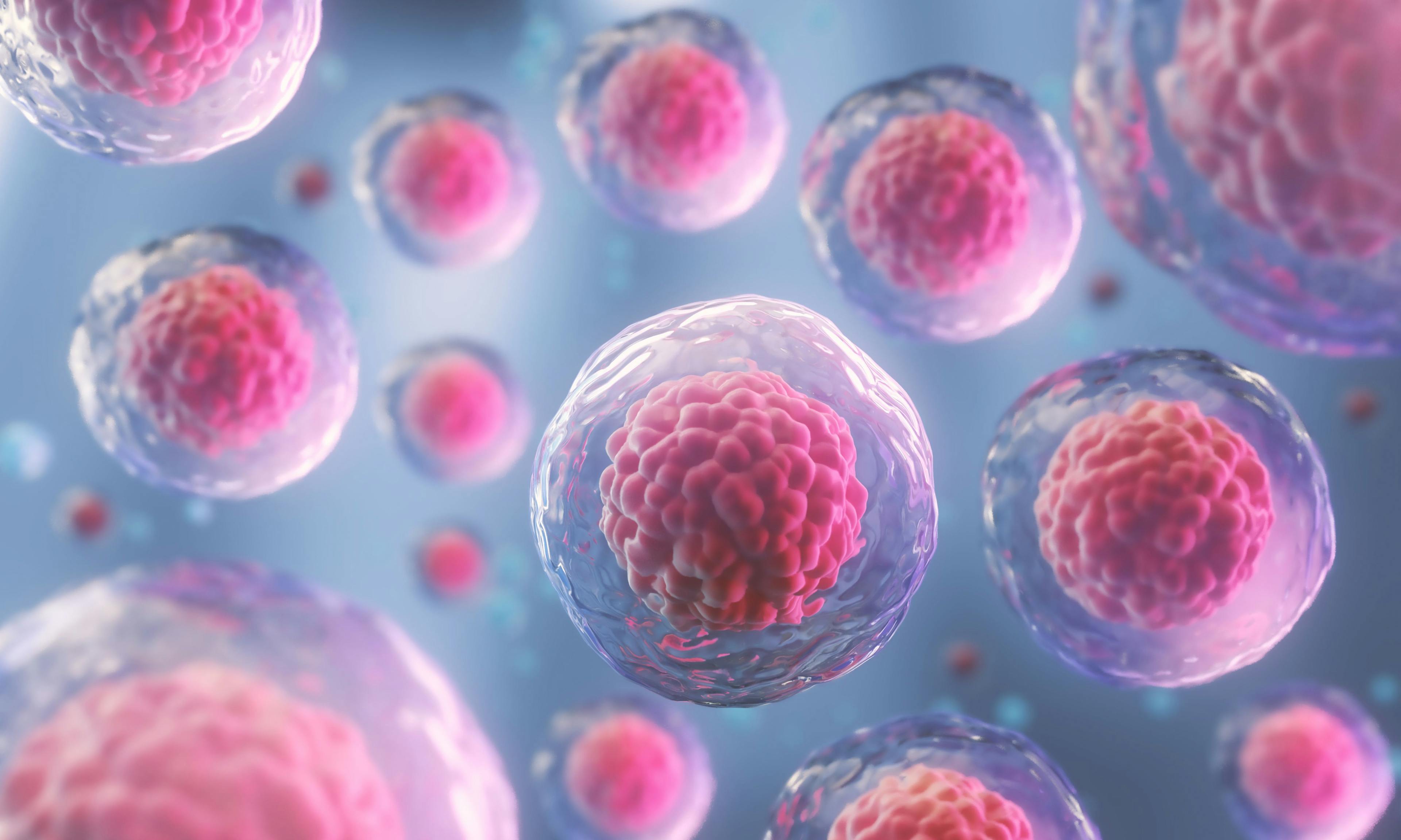 Stem Cell Concept | image credit: Anusorn - stock.adobe.com