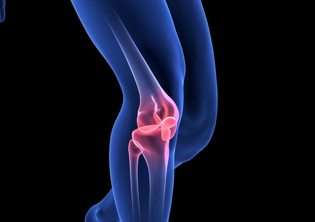 Knee Pain. Blue Human Anatomy Body 3D render on black background: © m3ron - stock.adobe.com
