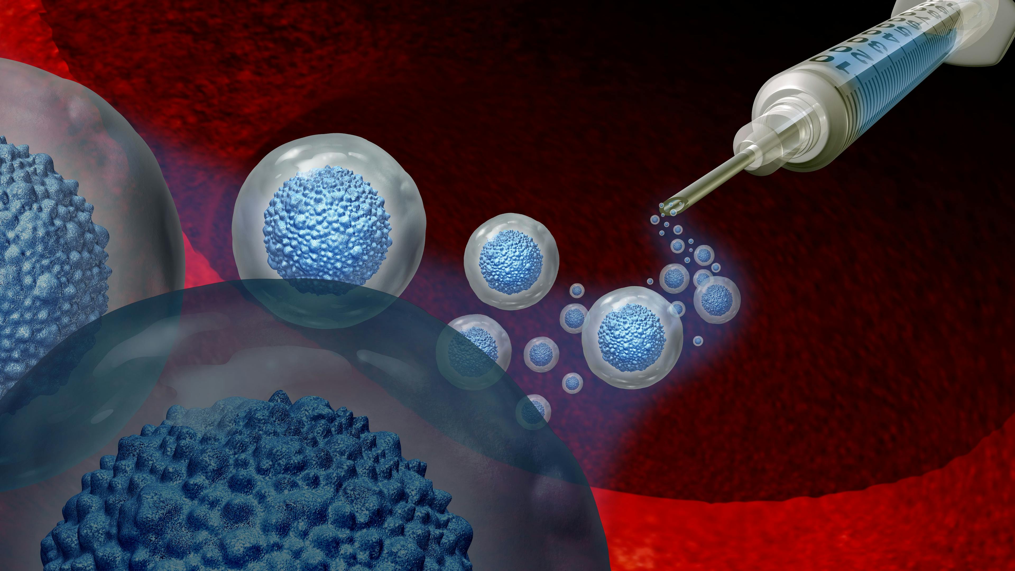 Stem Cell Transplant Model | image credit: freshidea - stock.adobe.com