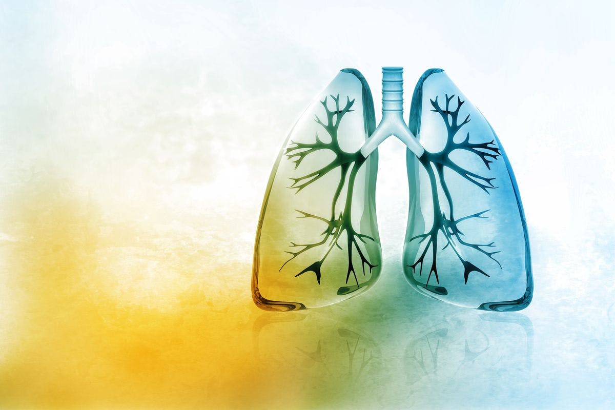 design of lungs with green, blue, and yellow colors