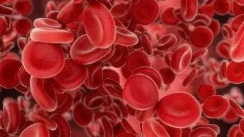 Blood Cells 