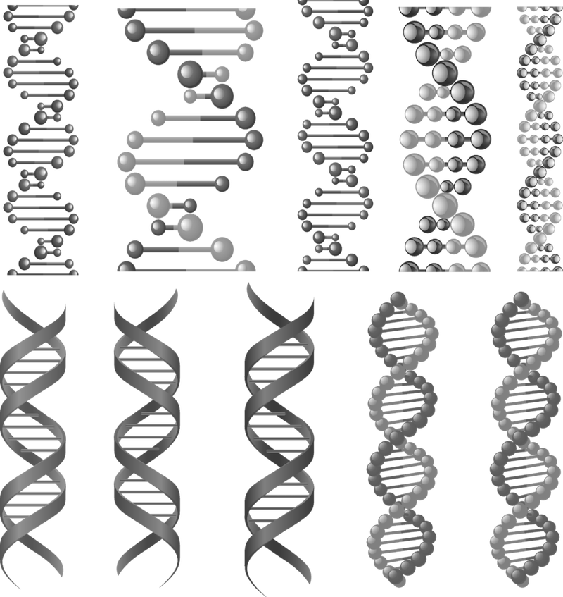 DNA strands 