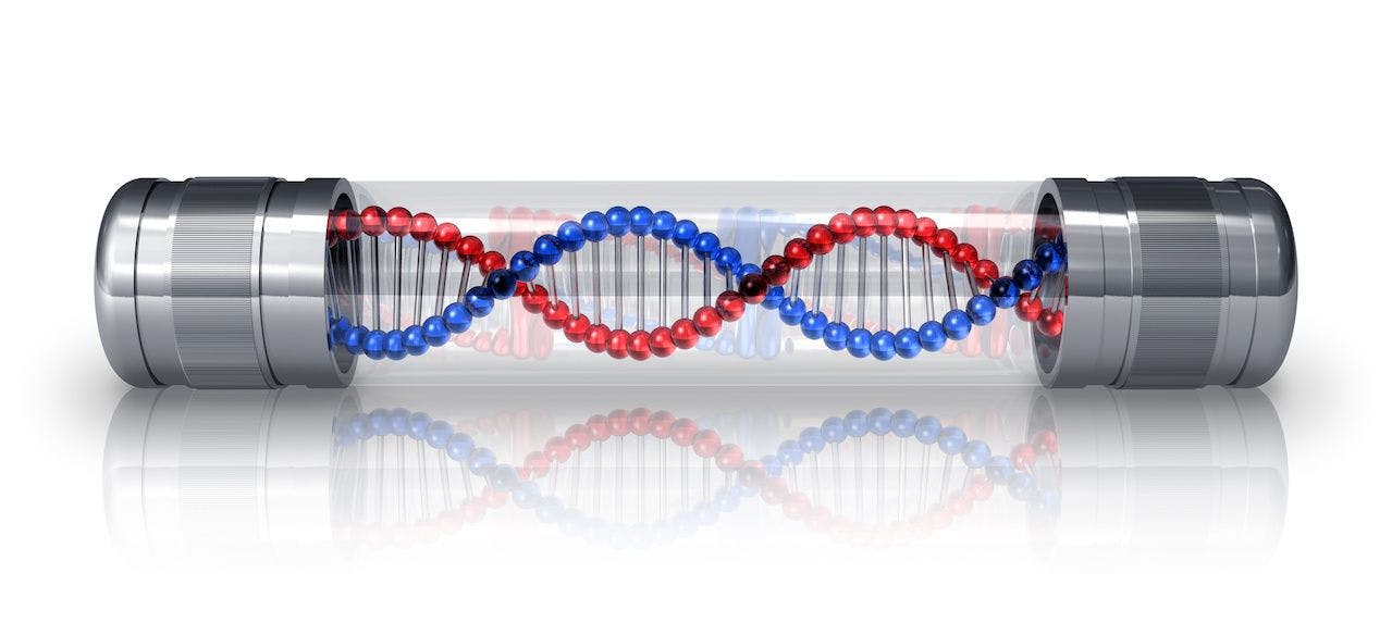 Image of encapsulated DNA